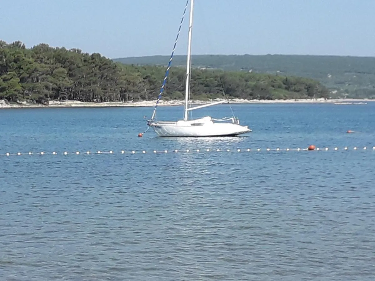Apartment D&E Punat - Free Parking And Wi-Fi Croatia